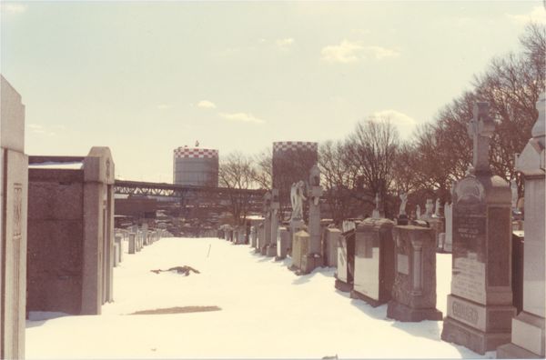 Calvary Cemetery by null