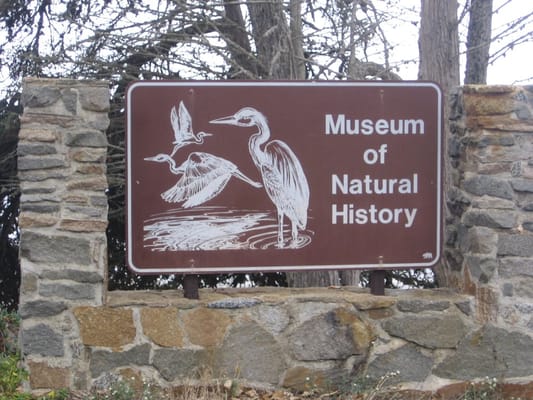 Museum of Natural History by null