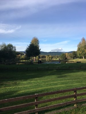 Rothiemurchus by null