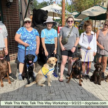 Amiable Dog Training - Workshops are a great refresher! - Pet Training Near Me - Pewaukee, Wisconsin