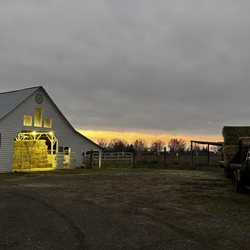 Scholls Country Feed
