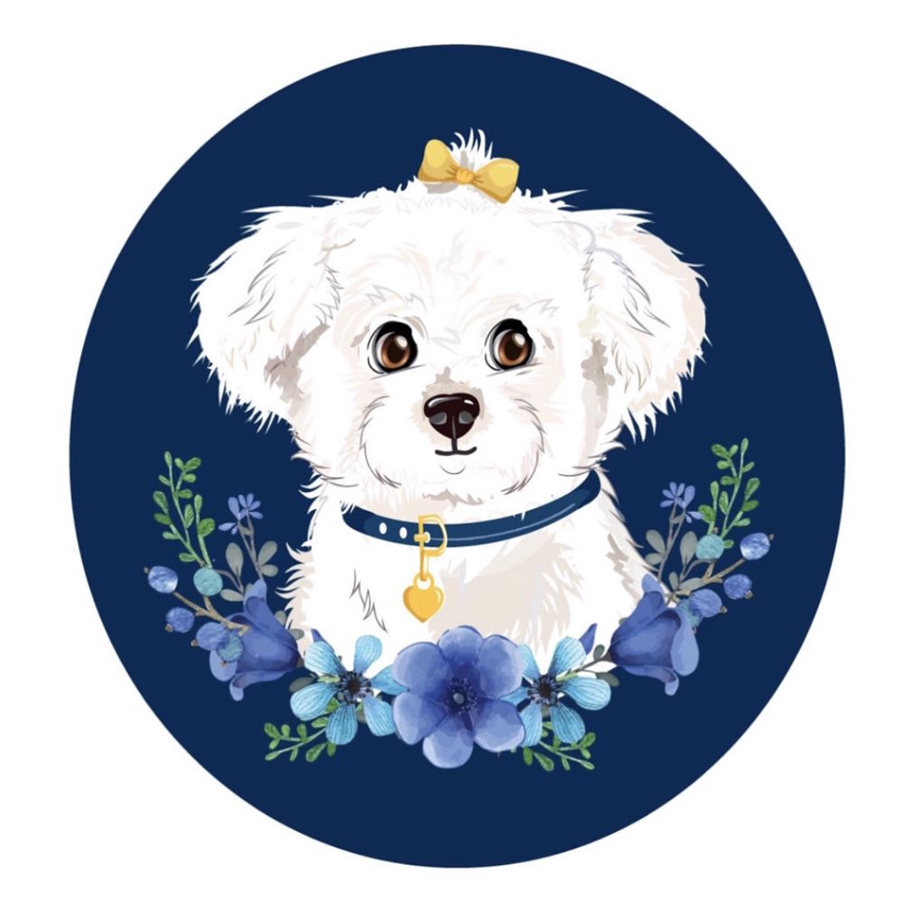lilo-s-dog-training-academy-updated-june-2024-miami-florida-pet