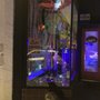 Dragons Den Smoke Shop