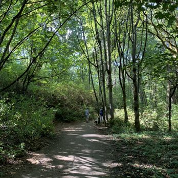 Discovery Park - Parks Near Me - Seattle, Washington