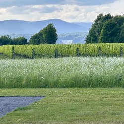 Saint Pierre Le Vignoble - View from the back
