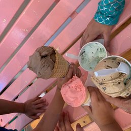 Our Vineyard Scoops! Our Vineyard Scoops!
