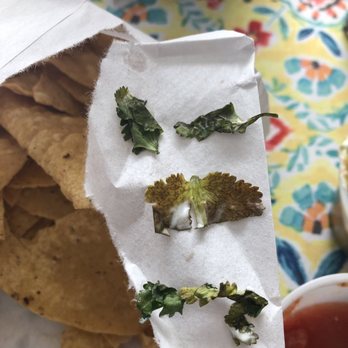 La Tolteca - Old cilantro - Mexican Near Me - Azusa, California