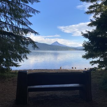 Timothy Lake - View of Mt Hood over a bench then over the lake from the South Shore trail - Lakes Near Me - Estacada, Oregon Timothy Lake - View of Mt Hood over a bench then over the lake from the South Shore trail - Lakes Near Me - Estacada, Oregon