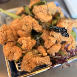 Chicken Katsu Chicken Katsu