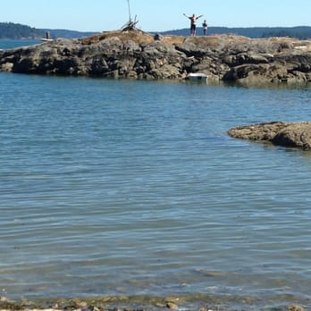 Pebble Cove Farm - There is a kayak, row boat, and life jackets for guests. Paddle out to Skull Island. - Bed & Breakfast Near Me - Orcas Island, Washington