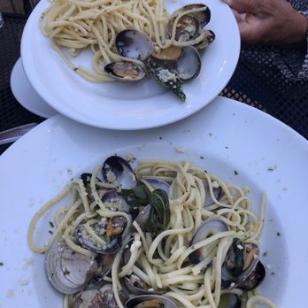 Osteria Grappolo - The Linguine con Vongole veraci, but a little too greasy/buttery. - Italian Near Me - Solvang, California
