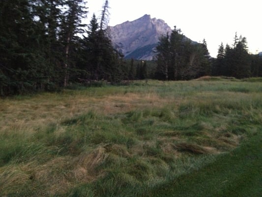Fairmont Banff Springs Golf Course by null