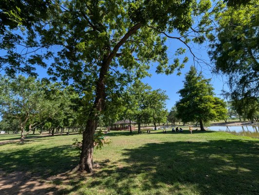 Arthur Storey Park by null