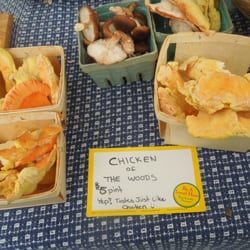 Saturday Northampton Farmers Market