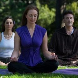 Art of Living Center for Yoga and Meditation