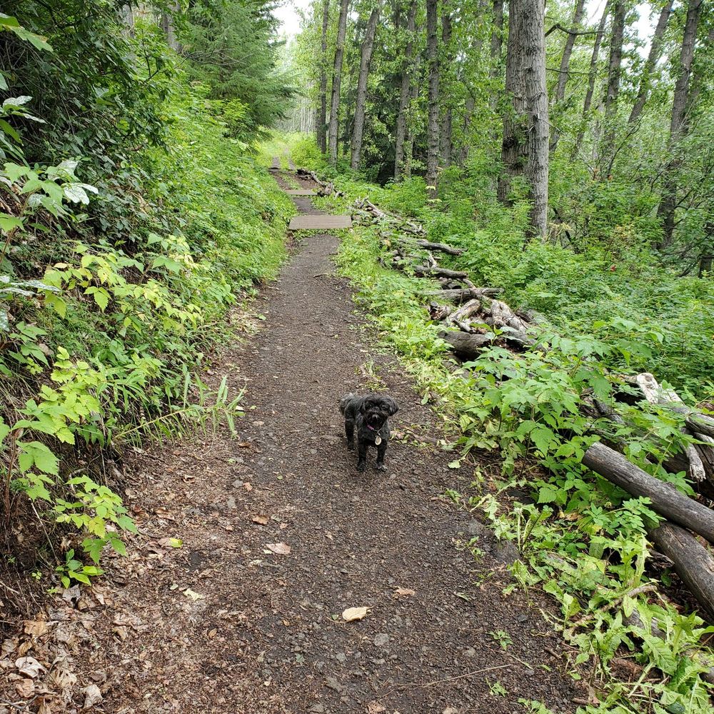 Potter Creek Trailhead - Hiking Near Me - Anchorage, Alaska Potter Creek Trailhead - Hiking Near Me - Anchorage, Alaska