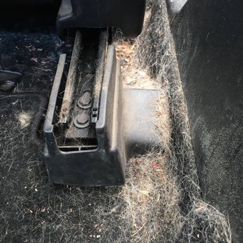 Clean Green Mobile - Before: even more fur and dirt and rocks under the seats. I'm so sorry. - Auto Detailing Near Me Clean Green Mobile - Before: even more fur and dirt and rocks under the seats. I'm so sorry. - Auto Detailing Near Me