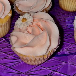 Amazing Cakes - Cupcake