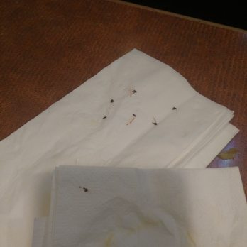 4th & Mill - Dead gnats - American Near Me - Rancho Cucamonga, California