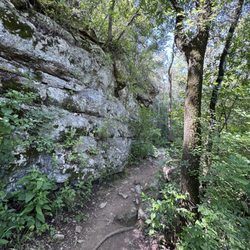 Barton Creek Greenbelt