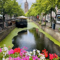 Holland Bike Tours