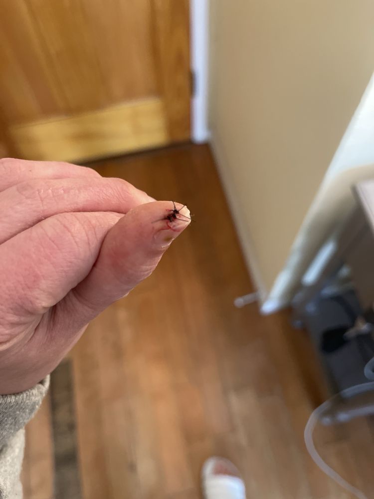 Perlman Clinic Solana Beach - patient advocate in Solana Beach, CA