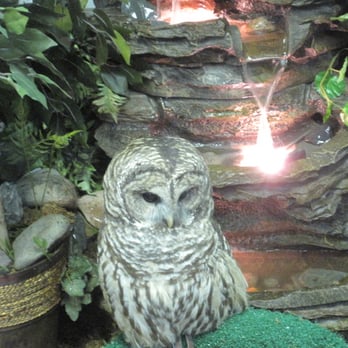 Hope For Wildlife - Community Service/Non-Profit Near Me - Seaforth, Nova Scotia Hope For Wildlife - Community Service/Non-Profit Near Me - Seaforth, Nova Scotia