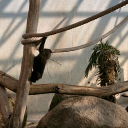Zoo Vivarium