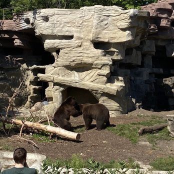 Detroit Zoo - Zoos Near Me - Royal Oak, Michigan