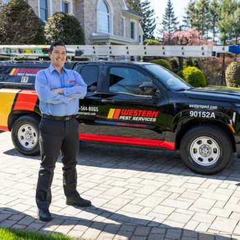 Western Pest Services - Pest Control Near Me - West Orange, New Jersey Western Pest Services - Pest Control Near Me - West Orange, New Jersey
