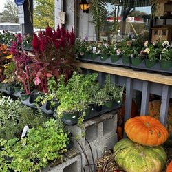 Pratt's Country Store