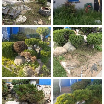 Sal's Gardening Service - Landscaping Near Me Sal's Gardening Service - Landscaping Near Me