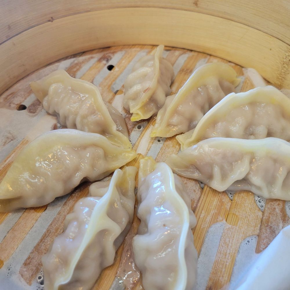 Hungry Dumpling House - Steamed pork dumplings - Chinese Near Me - Portland, Oregon Hungry Dumpling House - Steamed pork dumplings - Chinese Near Me - Portland, Oregon