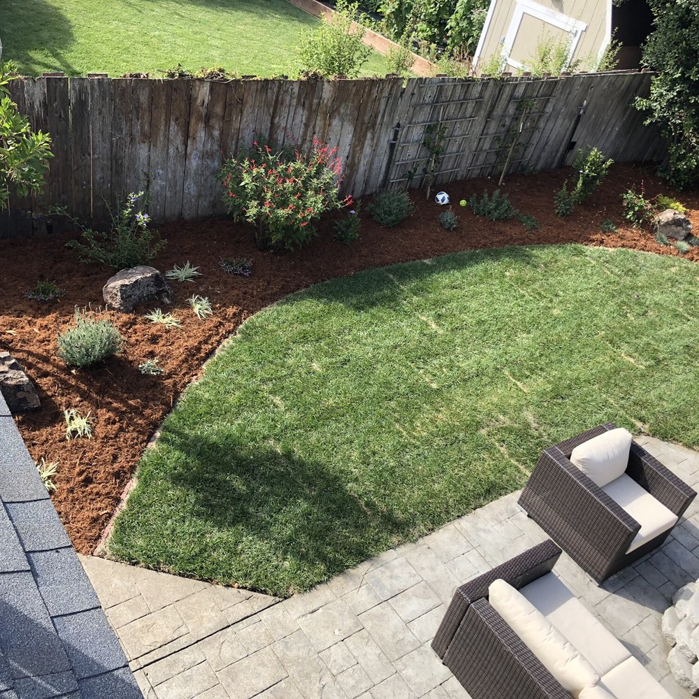 Coastal Range Landscaping - a view of a backyard - Landscaping Near Me - Half Moon Bay, California