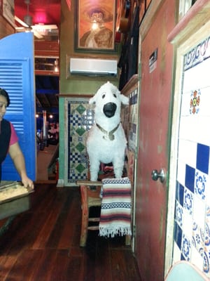 Casa Borrega: New Orleans Mezcaleria by null Casa Borrega: New Orleans Mezcaleria by null