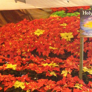 Glick's Greenhouse - Nurseries & Gardening Near Me - Oley, Pennsylvania