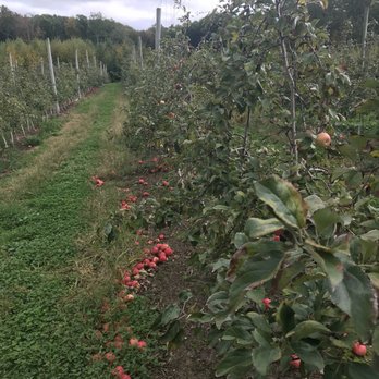 Barden Orchards - Farmers Market Near Me - North Scituate, Rhode Island