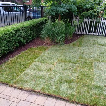 AKUI’s Greener Path - Fresh sod job - Lawn Services Near Me - Chicago, Illinois AKUI’s Greener Path - Fresh sod job - Lawn Services Near Me - Chicago, Illinois