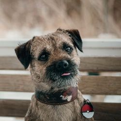 Beach Pet Hospital