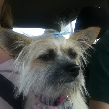 PetSmart - Grooming - Pet Training Near Me - Santa Maria, California