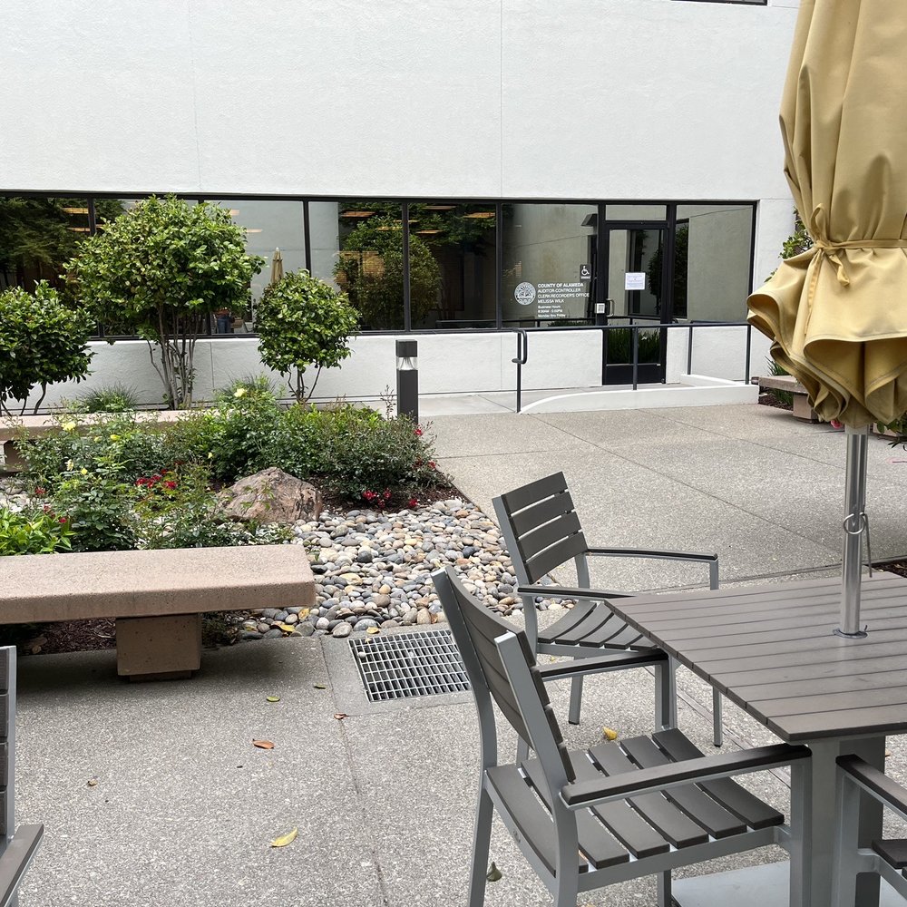 TOP 10 BEST Birth Certificate near Montclair Village, Oakland, CA - Updated  2026 - Yelp