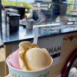 Gnam Gnam Gelato - Mango & Strawberry