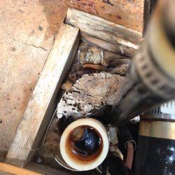 Pillar Premier Inspections - Not a good sign when snails in vent tube of the well house. Have you had your well inspected recently? Out of sight, out of mind call us.