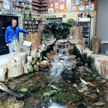 Jim Gray's Petrified Wood - This is the coy fish pond amongst the enormous collection of rocks for sale. - Home Decor Near Me - Holbrook, Arizona Jim Gray's Petrified Wood - This is the coy fish pond amongst the enormous collection of rocks for sale. - Home Decor Near Me - Holbrook, Arizona
