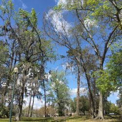 Willowbranch Park