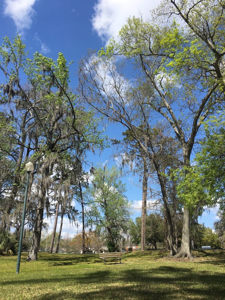 Willowbranch Park Image