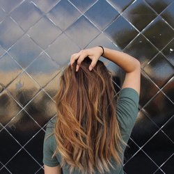The-Last Look