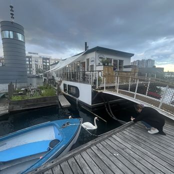 Vandvid - Check out the pair of swans.  They get treats from the owner. - Restaurants Near Me - Copenhagen, 84