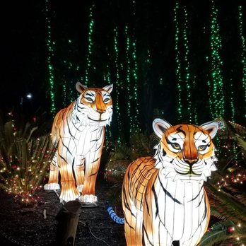 LA Zoo Lights - Zoos Near Me - Los Angeles, California LA Zoo Lights - Zoos Near Me - Los Angeles, California