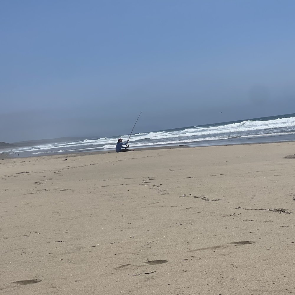 Kehoe Beach - Kehoe Beach - Beaches Near Me - Tomales Bay, California